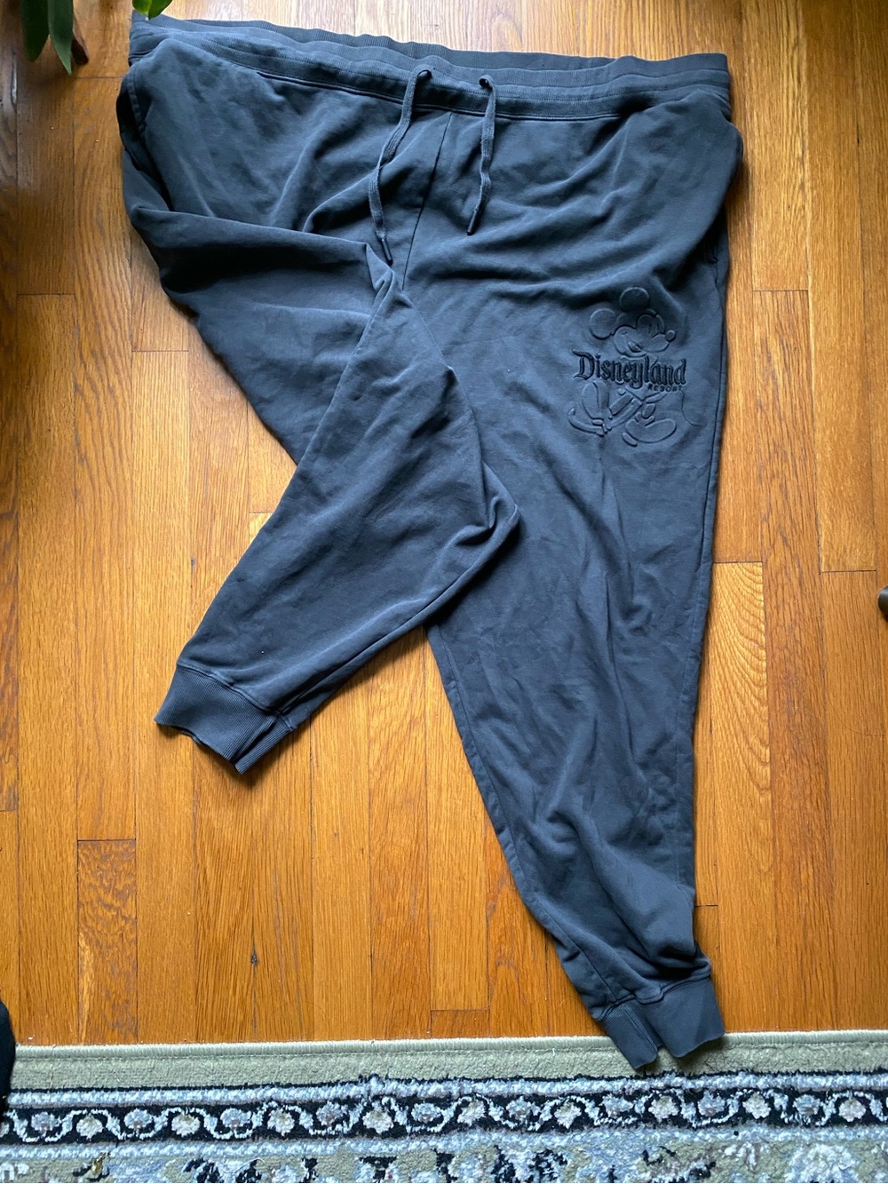 2026 Disneyland resort sweat pants joggers 1X charcoal